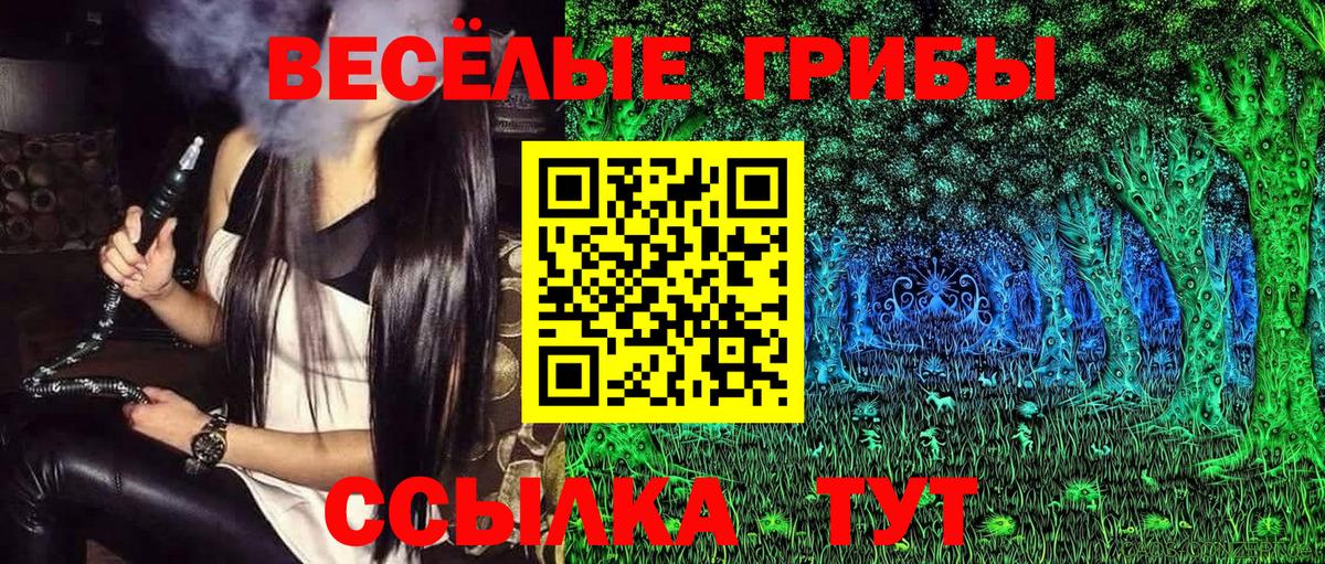 Псилоцибиновые грибы мицелий Клинцы