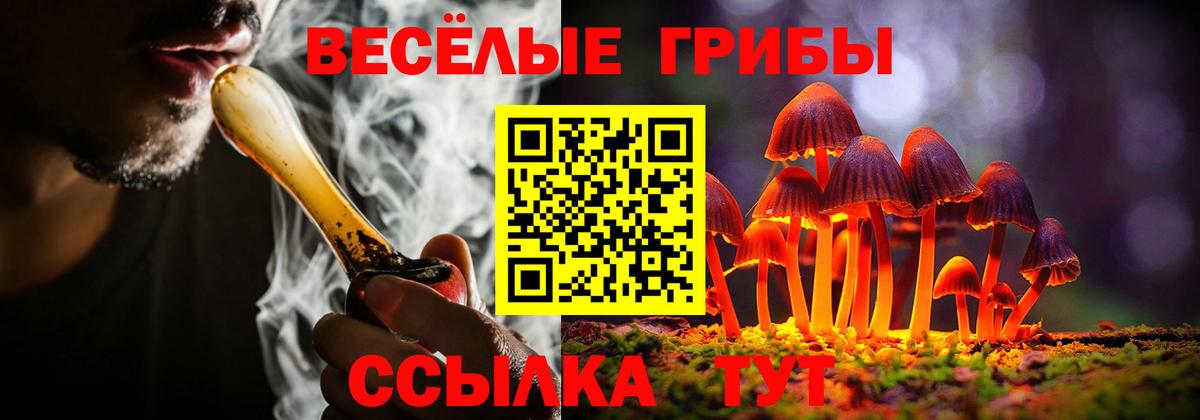 Клинцы  Галлюциногенные грибы Cubensis  Вход с VPN 
